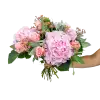 Bouquet of hydrangea